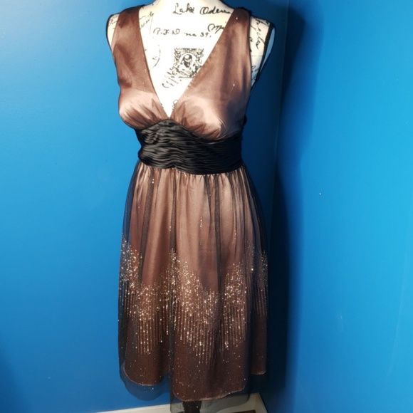 Adrianna Papell Boutique Pink Formal w/ black tule - Picture 2 of 8